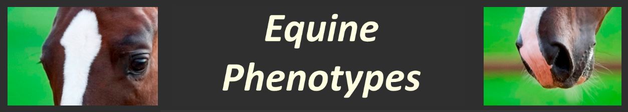 Equinephenotypes.org